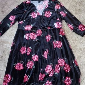 Velvet Rose Dress